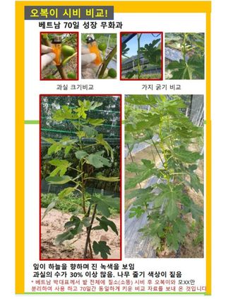 대산농사대장님의 작성글 사진