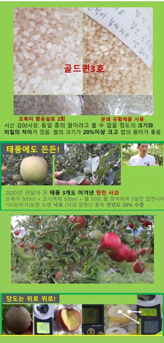 대산농사대장님의 작성글 사진