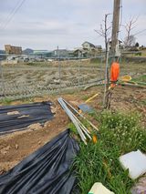 팜모닝 두릅·영농일지 게시글 이미지