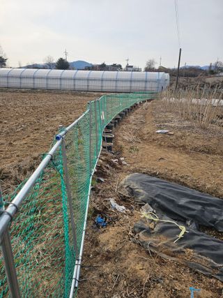 박지우님의 두릅 · 영농일지 작성글 사진