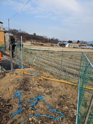 박지우님의 두릅 · 영농일지 작성글 사진