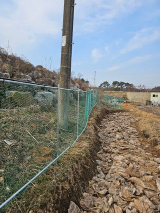 박지우님의 두릅 · 영농일지 작성글 사진