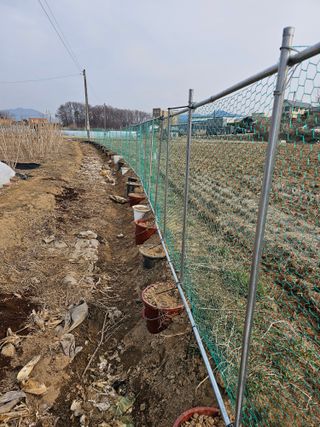 박지우님의 두릅 · 영농일지 작성글 사진