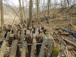 정영덕님의 버섯 · 시세•판로 작성글 사진