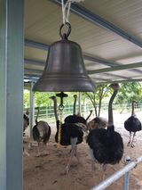 팜모닝 · 게시글 이미지