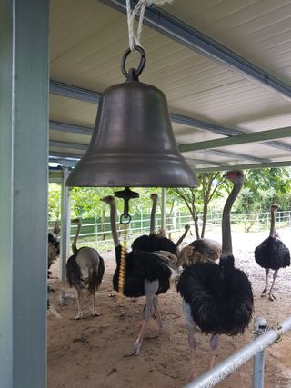 도울농장 이원용님의 작성글 사진