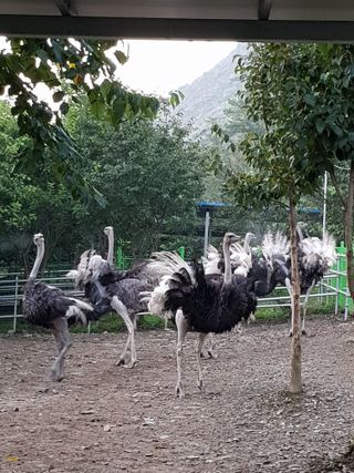 도울농장 이원용님의 작성글 사진