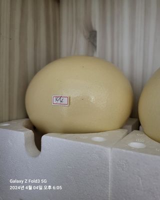 도울농장 이원용님의 작성글 사진