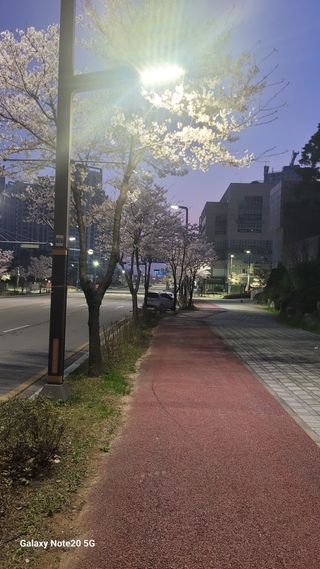 제주농부님의 참깨 · 영농일지 작성글 사진