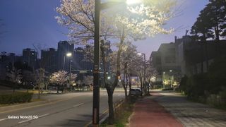 제주농부님의 참깨 · 영농일지 작성글 사진