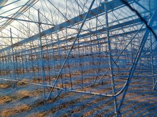 복사꽃마을 이창식님의 자유주제 · 자유게시판 작성글 사진