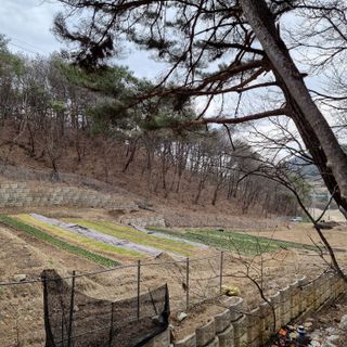 이종권님의 4월 내 작물 자랑하기 · 참여글 작성글 사진