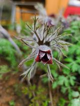 팜모닝 자유주제·자유게시판 게시글 이미지