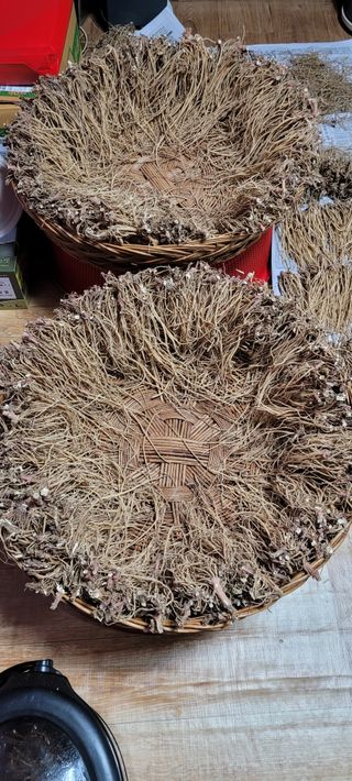 이미경님의 작성글 사진