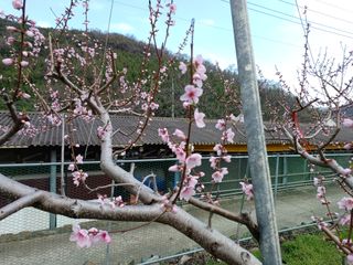 배경수 님의 자유주제 · 자유게시판 작성글 사진