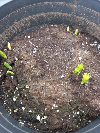 박린님의 자유주제 · 자유게시판 작성글 사진