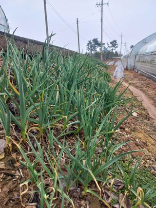 박린님의 자유주제 · 자유게시판 작성글 사진