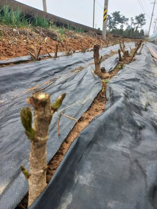 박린님의 자유주제 · 자유게시판 작성글 사진