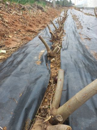 박린님의 자유주제 · 자유게시판 작성글 사진