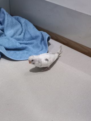 박린님의 자유주제 · 자유게시판 작성글 사진