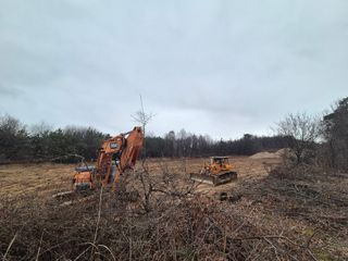 김동수님의 고구마 · 자유게시판 작성글 사진