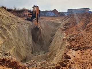 김동수님의 고구마 · 자유게시판 작성글 사진