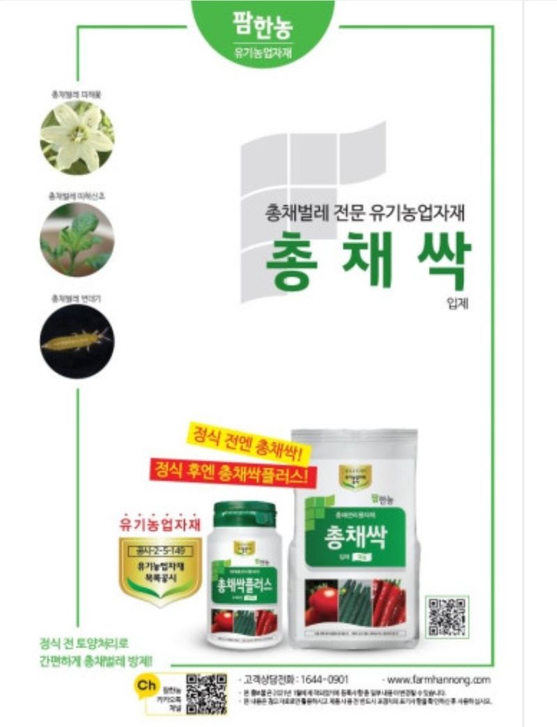 대산농사대장님의 장터 판매 상품 [총채싹1kg[팜한농]] 첨부 사진