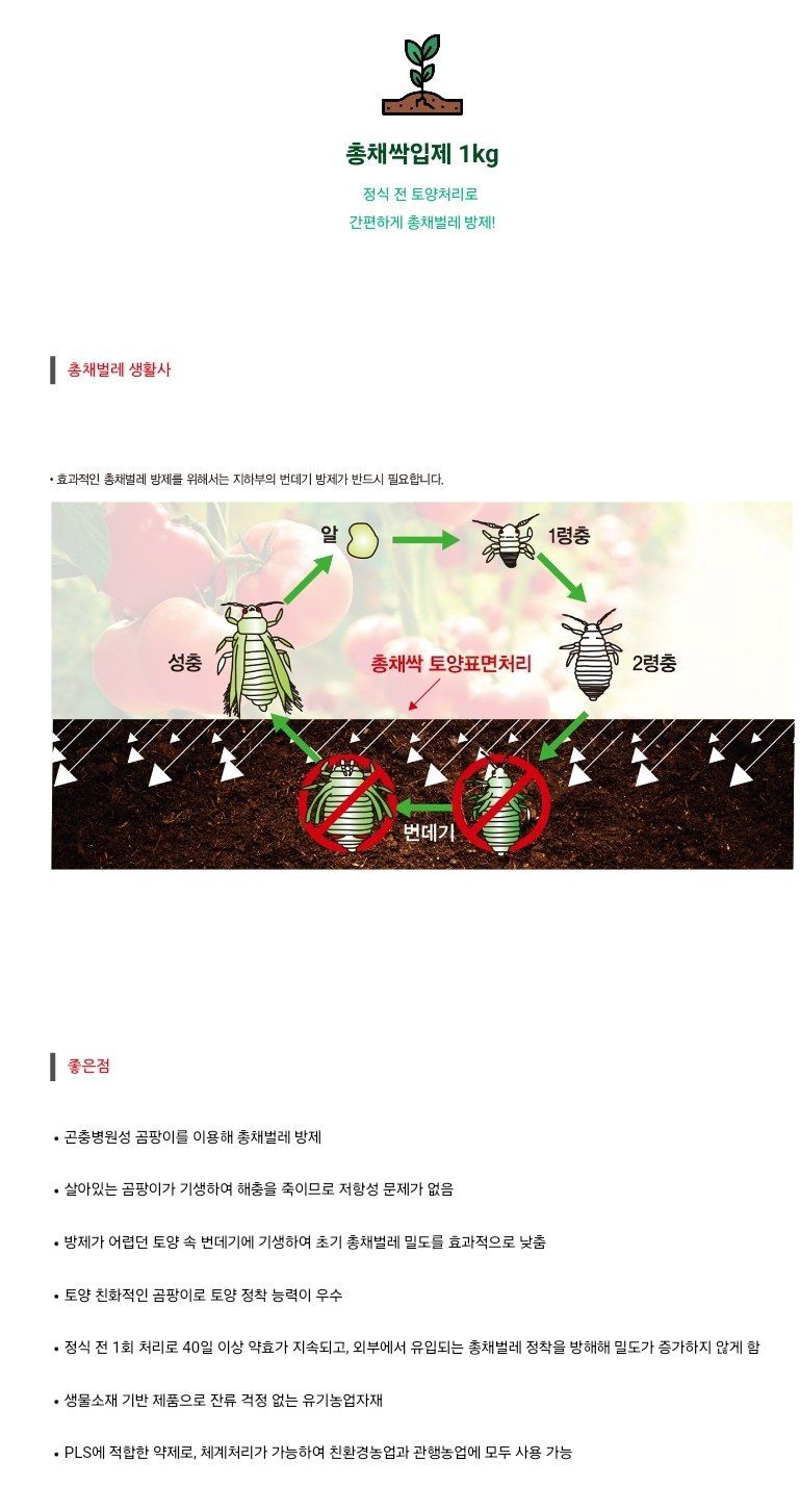 대산농사대장님의 장터 판매 상품 [총채싹1kg[팜한농]] 첨부 사진