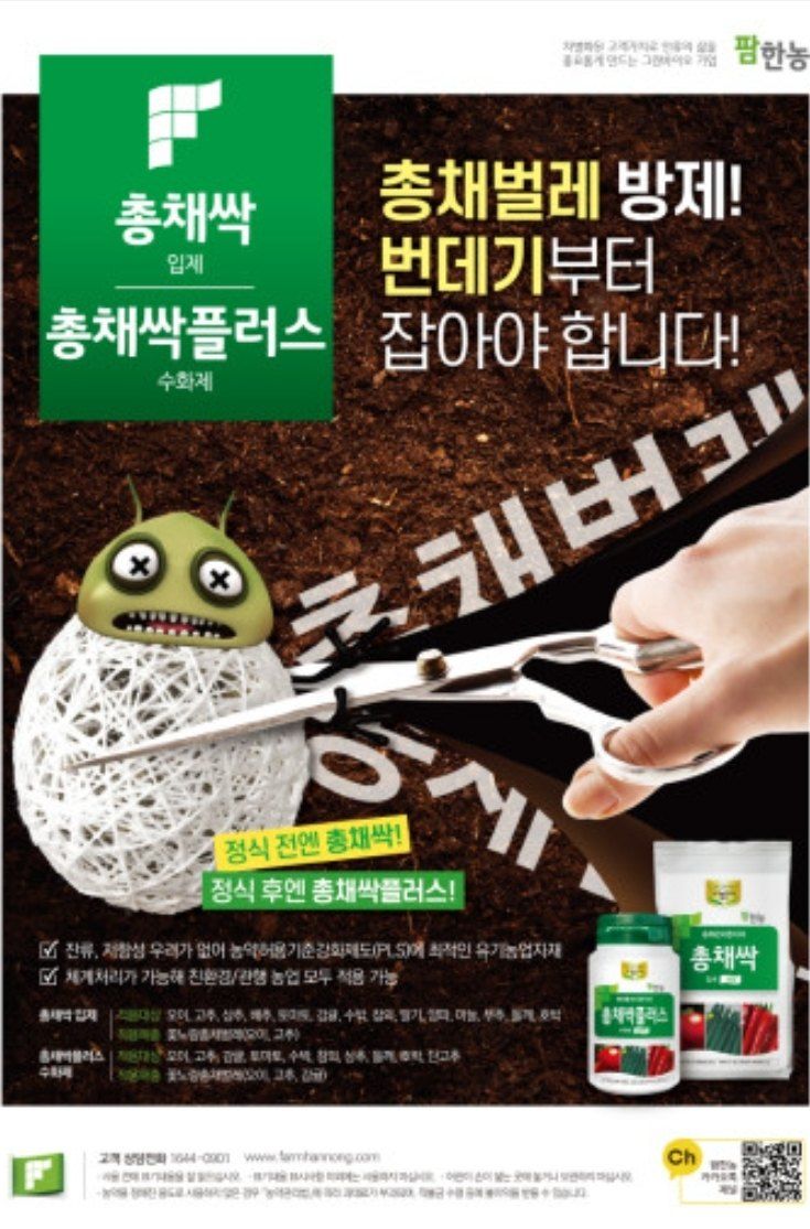 대산농사대장님의 장터 판매 상품 [총채싹1kg[팜한농]] 첨부 사진