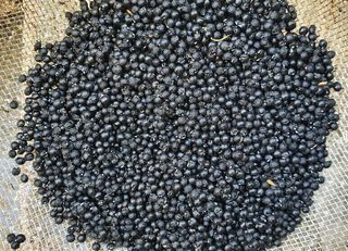 황덕순 님의 작성글 사진