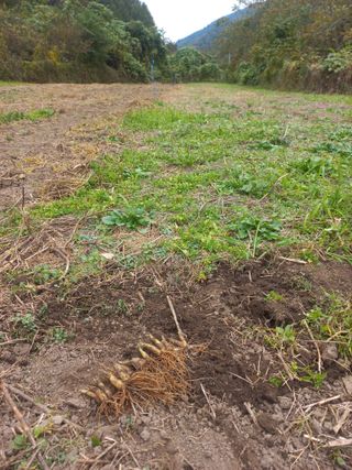 황덕순 님의 작성글 사진