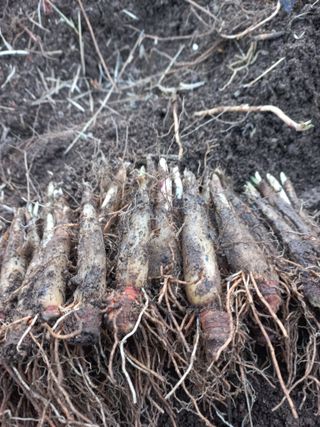 황덕순 님의 작성글 사진