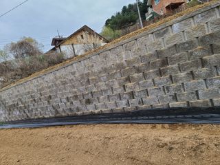 이박농장님의 자유주제 · 자유게시판 작성글 사진