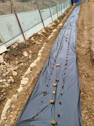 이박농장님의 자유주제 · 자유게시판 작성글 사진