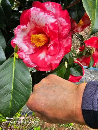 마로니에농원님의 자유주제 · 자유게시판 작성글 사진