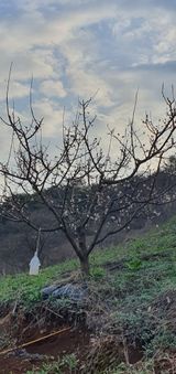 팜모닝 자유주제·사진전 게시글 이미지