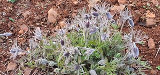 최기덕님의 자유주제 · 사진전 작성글 사진