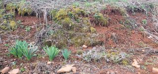 최기덕님의 자유주제 · 사진전 작성글 사진