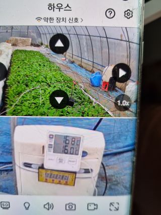 태풍한가름님의 고추 · 영농일지 작성글 사진