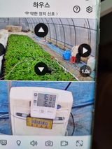 팜모닝 4월 내 작물 자랑하기·참여글 게시글 이미지