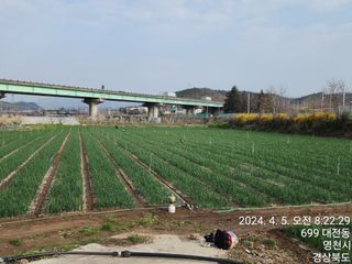 다마내기님의 양파 · 영농일지 작성글 사진