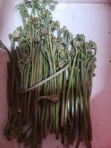 팜모닝 자유주제·자유게시판 게시글 이미지