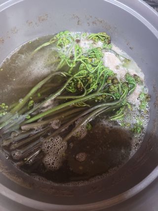 다소농원님의 자유주제 · 자유게시판 작성글 사진