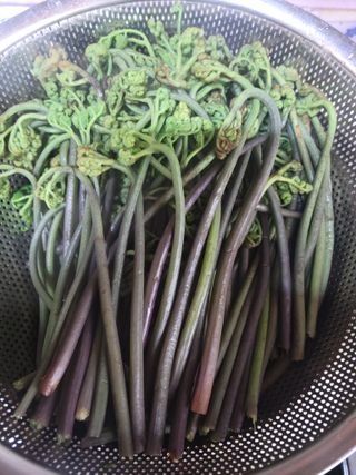 다소농원님의 자유주제 · 자유게시판 작성글 사진