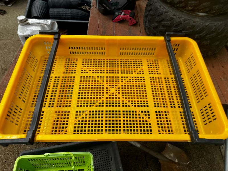 장터 상품 [블루베리 상자] 썸네일