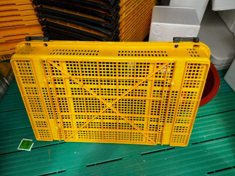 베리하우스님의 장터 판매 상품 [블루베리 상자] 첨부 사진