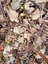 팜모닝 자유주제·자유게시판 게시글 이미지