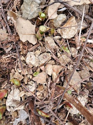 고추들깨이종우님의 자유주제 · 자유게시판 작성글 사진