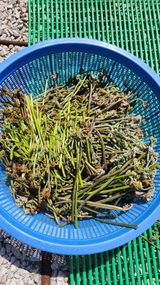 팜모닝 자유주제·자유게시판 게시글 이미지