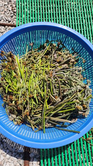 김희영님의 자유주제 · 자유게시판 작성글 사진